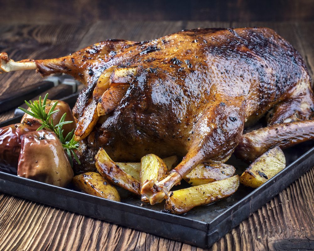 ee399356-c3ed-40b4-bf85-373e871b6d9a.jpg ee399356-c3ed-40b4-bf85-373e871b6d9a.jpg